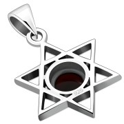 Garnet Star of David Pendant, p378
