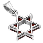 Garnet CZ Medium Star of David Pendant, p411