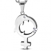 Stainless Steel Dolphin Female Gender Symbol Pendant w/ Clear CZ - PBL519